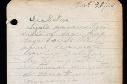 Banting notebook 31 October 1920