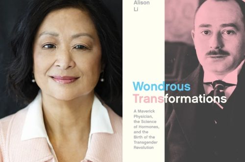 Wondrous Transformations by Alison Li